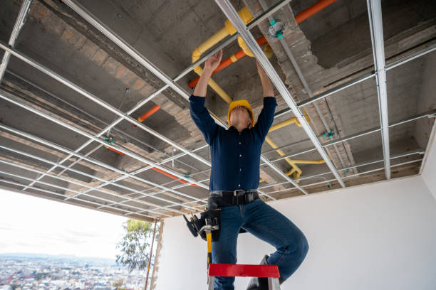 Best Plumbing Inspection Services  in Quincy, IL