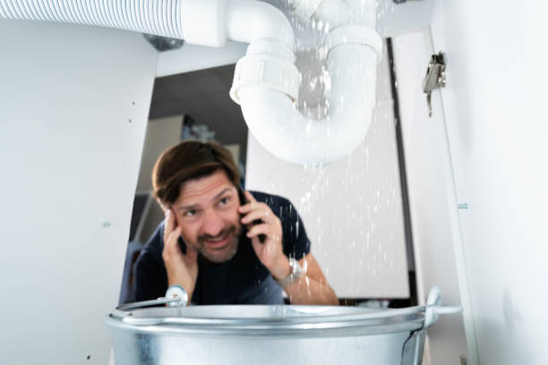 Best Clogged Drain Plumber  in Quincy, IL